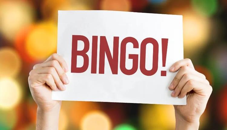 Free Kids’ Bingo This Half Term at Cornwall Gold
