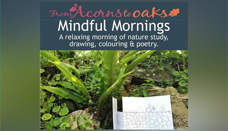 Mindful Mornings with From Acorns to Oaks 2024 at Newquay Orchard