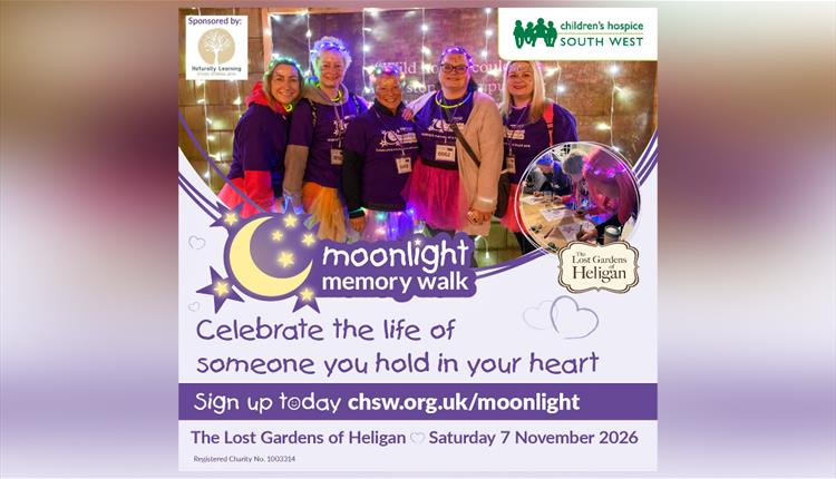 Moonlight Memory Walk
