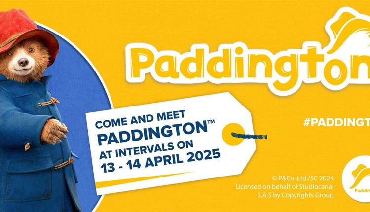 Meet Paddington at Lappa Valley!