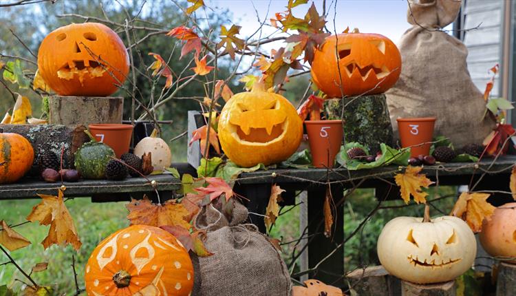 Halloween Half Term Fun at Trerice Manor 2024