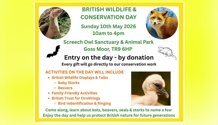 British Wildlife & Conservation Day at Screech Owl Sanctuary
