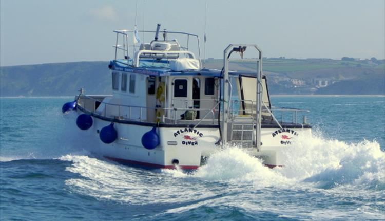 Newquay Sea Safaris and Fishing