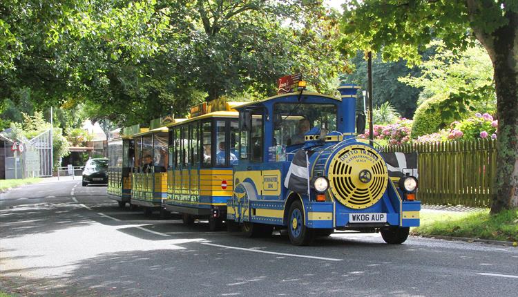 Newquay Land Train