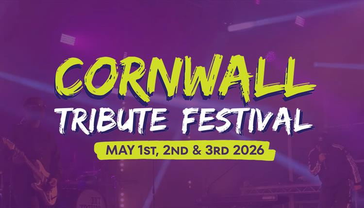 Tribute Festival at Monkey Tree Holiday Park