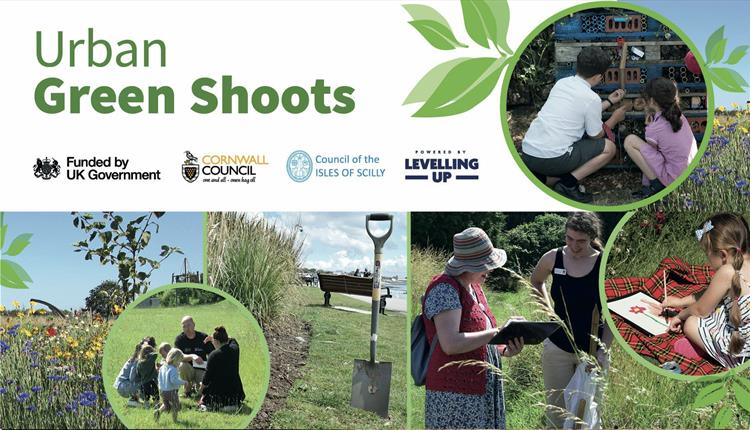 Urban Green Shoots at the Barrowfields