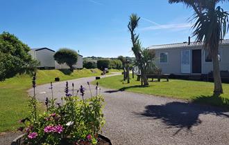 Treworgans Holiday Park