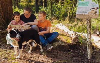 Forest Walkies with Wallace & Gromit