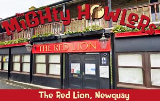 The Mighty Howlers at the Red Lion, Newquay