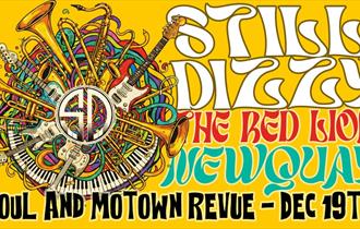 Still Dizzy End of Year at the Red Lion