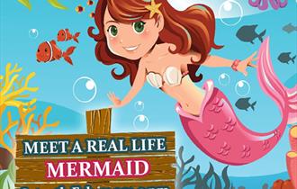 Meet a Real-Life Mermaid at the Blue Reef Aquarium