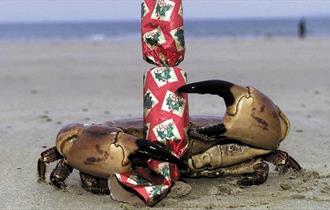 Merry Fishmas! - The Blue Reef Aquarium