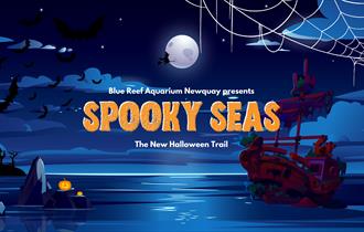 Spooky Seas this October Half Term