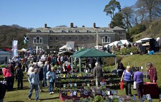 Cornwall Spring Flower Show, Boconnoc