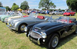 Trewithen Gardens Classic Cars & Country Fayre for Marie Curie