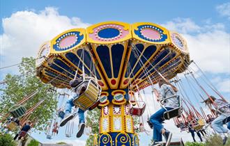 Camel Creek Adventure Park