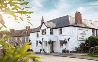 The Plume of Feathers