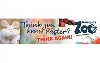 Meet The Easter Hare at Newquay Zoo