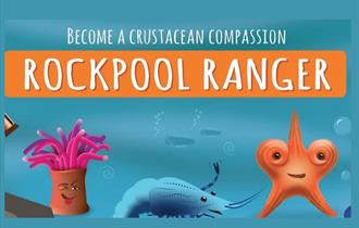 Rockpool Rangers