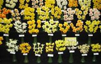 Falmouth Spring Flower Show