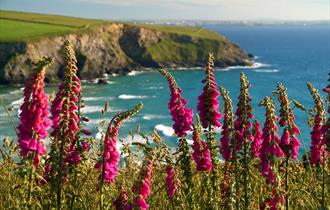 Mawgan Porth Beach - TR8 4BL