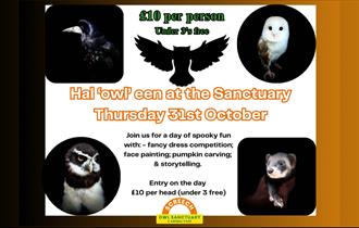 Halloween at the Screech Owl Sanctuary 2024