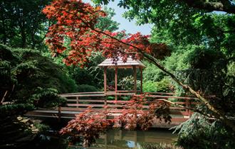 The Japanese Garden