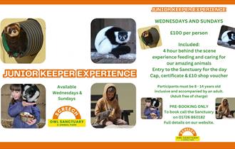 Screech Owl Sanctuary: JUNIOR KEEPER EXPERIENCE (8 - 14 year olds)