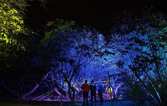 Heligan by Night