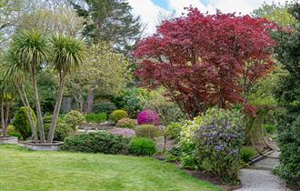 Lower Tregamere opens for National Garden Scheme