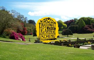 National Garden Scheme at Pencarrow Estate