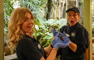 Spooky Tea & Tales at Newquay Zoo