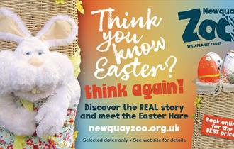 Easter at Newquay Zoo!