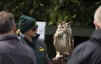 February Half Term at Screech Owl Sanctuary