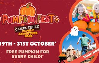 Pumpkin Fest at Camel Creek