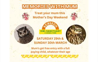 Mother's Day Weekend at Screech Owl Sanctuary