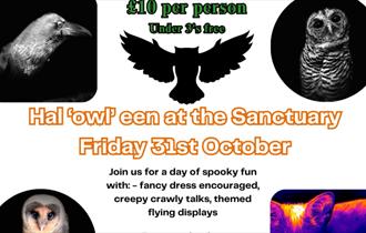 Halloween at the Screech Owl Sanctuary 2025