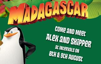 Meet Alex & Skipper from Madagascar at Camel Creek Adventure Park