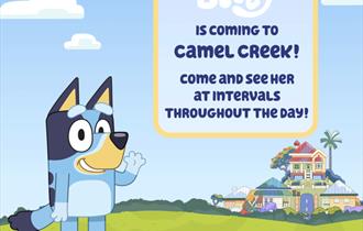 Meet Bluey at Camel Creek Adventure Park