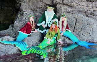 Merry Fishmas with The Cornish Merpod