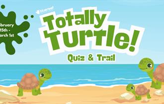 Totally Turtle at Blue Reef Aquarium