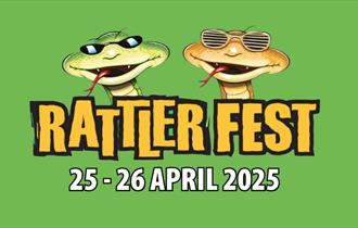 Rattler Fest at Healeys Cornish Cyder Farm