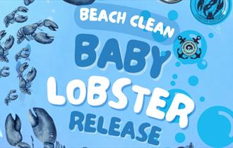 Beach Clean and Baby Lobster Release