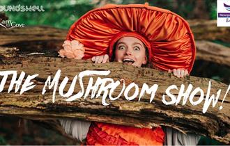 Free Family Show 'The Mushroom Show' on the Killacourt