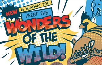 Wonders of the Wild at Newquay Zoo