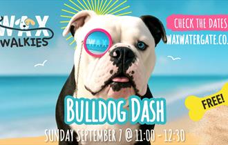 Bulldog Dash at Wax Watergate