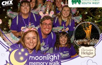 Moonlight Memory Walk