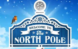 Christmas at Newquay Zoo