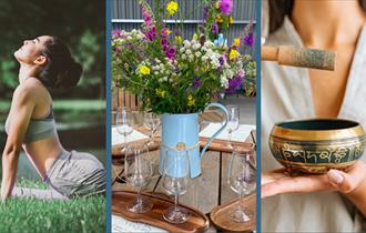 Unwind in the Vines at The Atlantic Vineyard