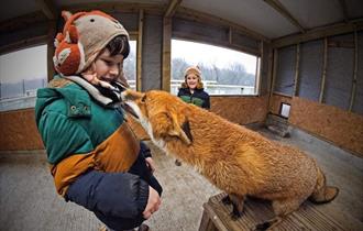 Animal Encounters at Screech owl Sanctuary this May Half Term